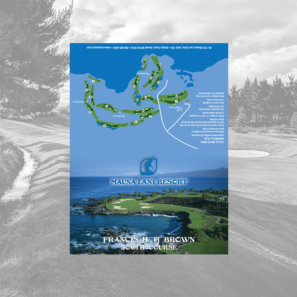 Custom Printed Scorecards
