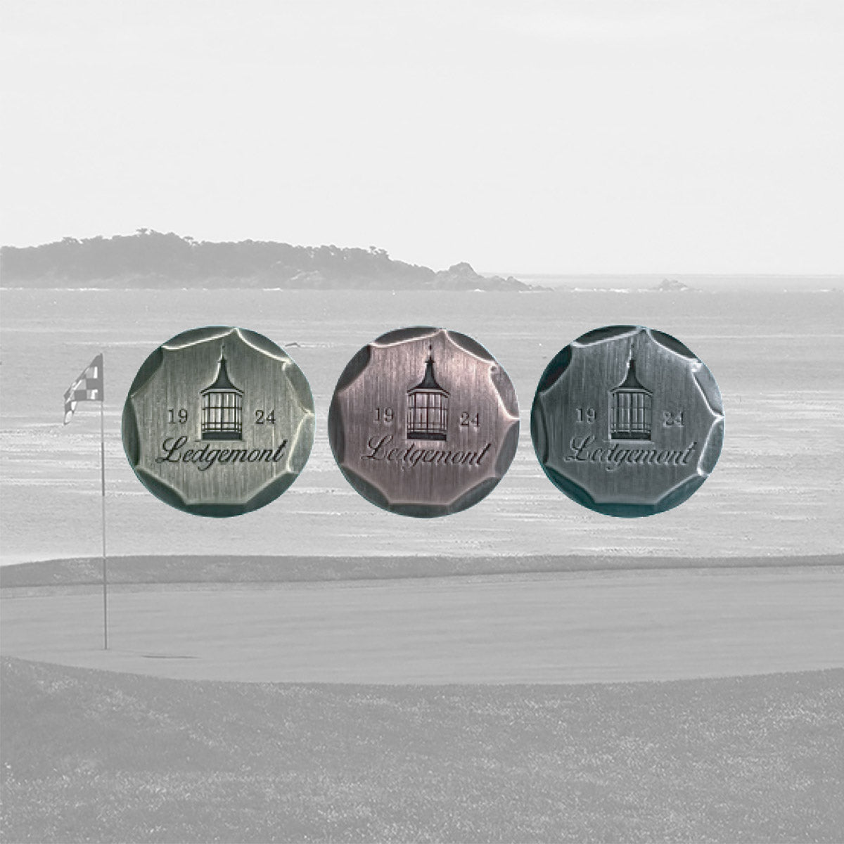 Hammered Metal Ball Marker