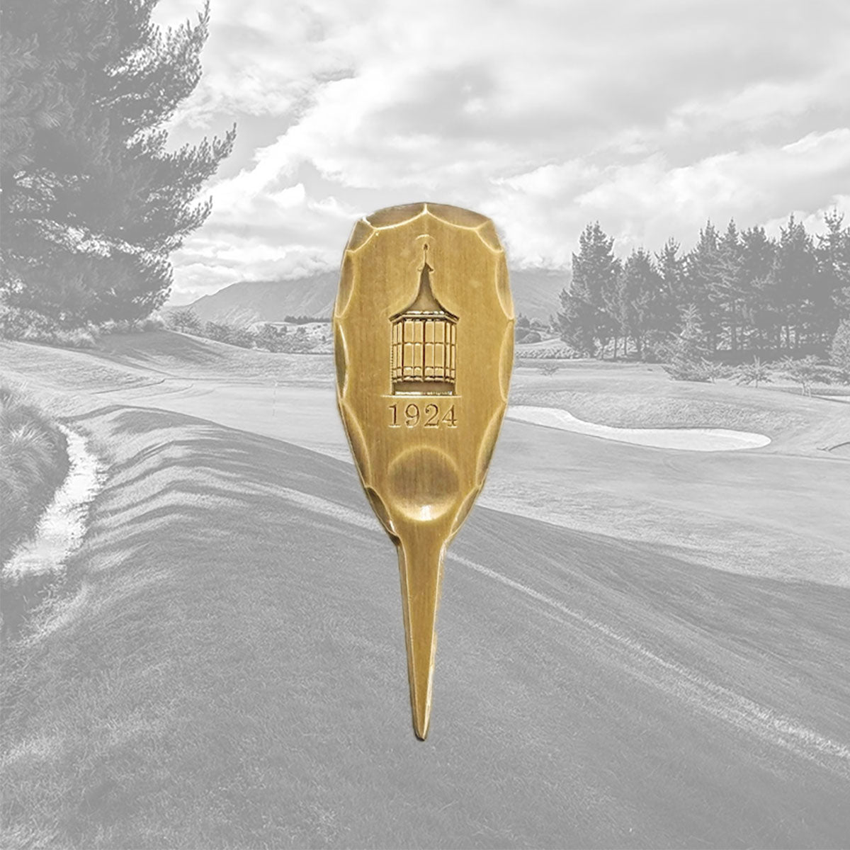 Custom Hammered Repair Tool